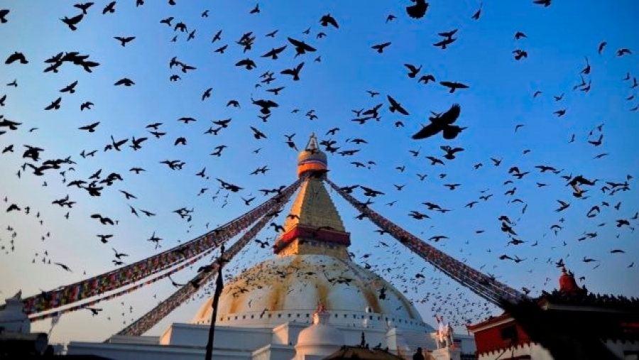 Hàng nghìn chú chim bồ câu chao liệng tại khu Boudhanath Stupa thuộc Kathmandu, Nepal, được UNESCO công nhận là Di sản Thế giới. (Ảnh: Narayan Maharjan/NurPhoto/Getty Images)