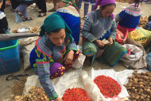 Chợ phiên Bắc Hà - Nét văn hóa đặc trưng ở vùng cao Việt Nam